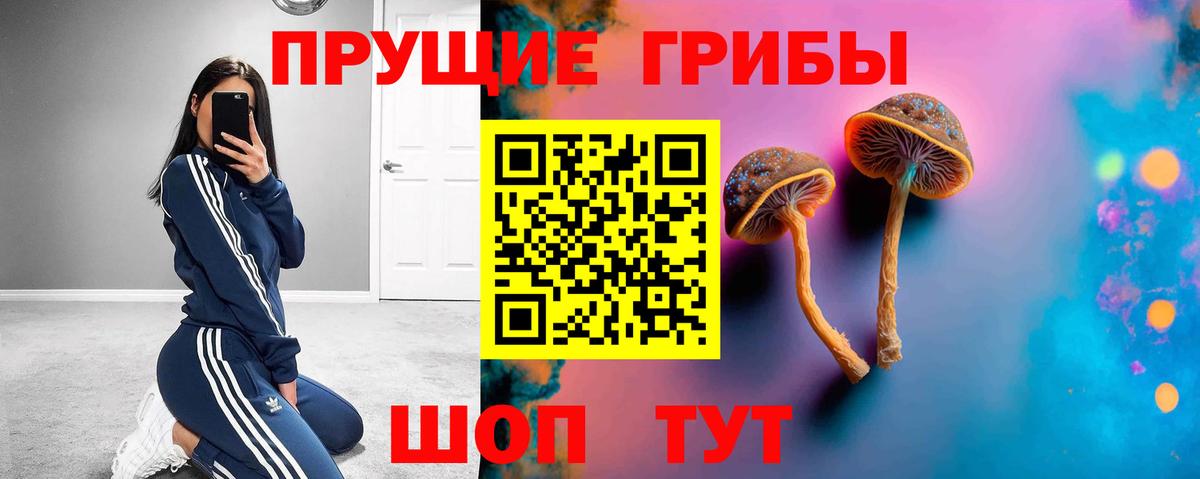купить  сайты  Галлюциногенные грибы Psilocybine cubensis  Вход с VPN  Торжок 