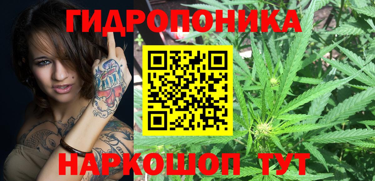 Бошки марихуана VHQ Торжок